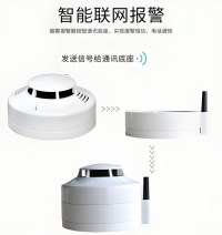 Fire detector plus intelligent network alarm